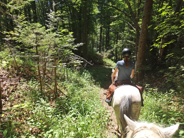  Paseos a caballo por el campo alrededor de Isère 
