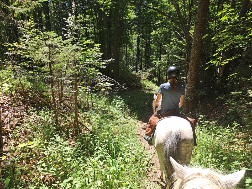  Paseos a caballo por el campo alrededor de Isère 
