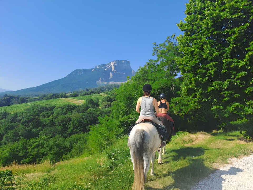  Disfrute de un paseo a caballo en pareja 
