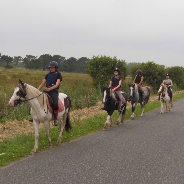  Reiten für alle Niveaus 