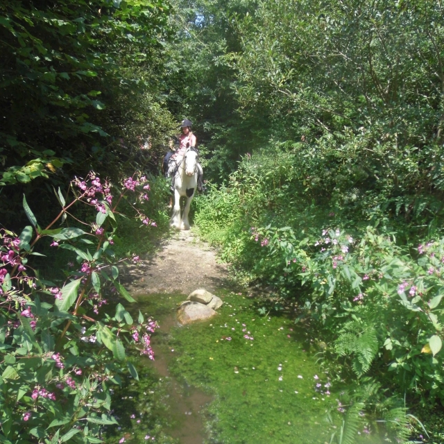  Reiten auf den Wegen von Plouguerneau 