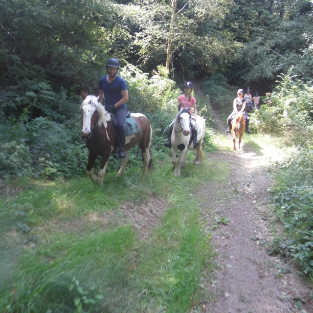  Genießen Sie ein Reiterlebnis inmitten der Natur