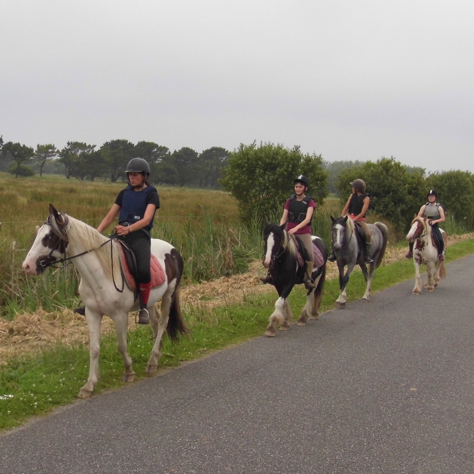  Reiten für alle Niveaus 