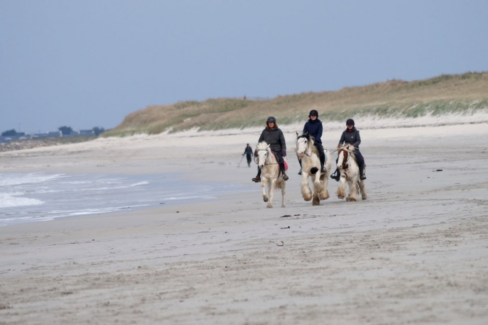  Erleben Sie ein originelles Reiterlebnis im Finistère 