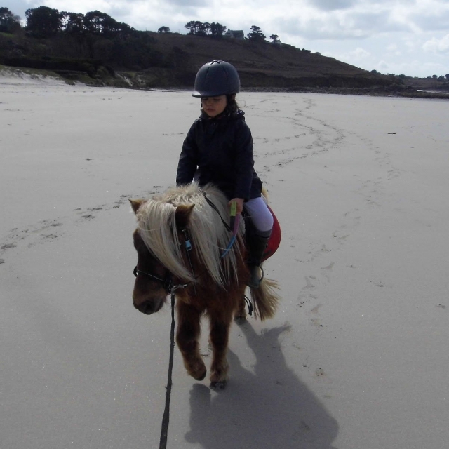 Equestrian experience for children 
