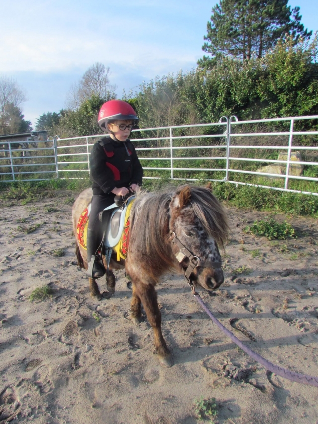  Pony tour in Plouguerneau 