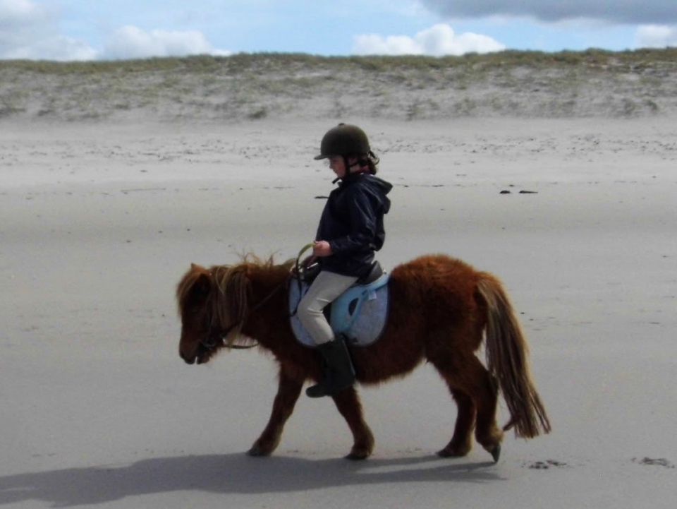 Discover the landscapes of Brittany on the back of a pony 