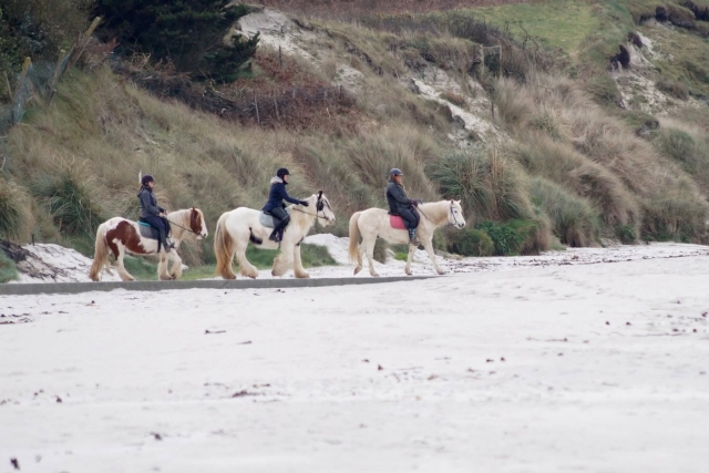  Erkunden Sie die Wege des Finistère zu Pferd 