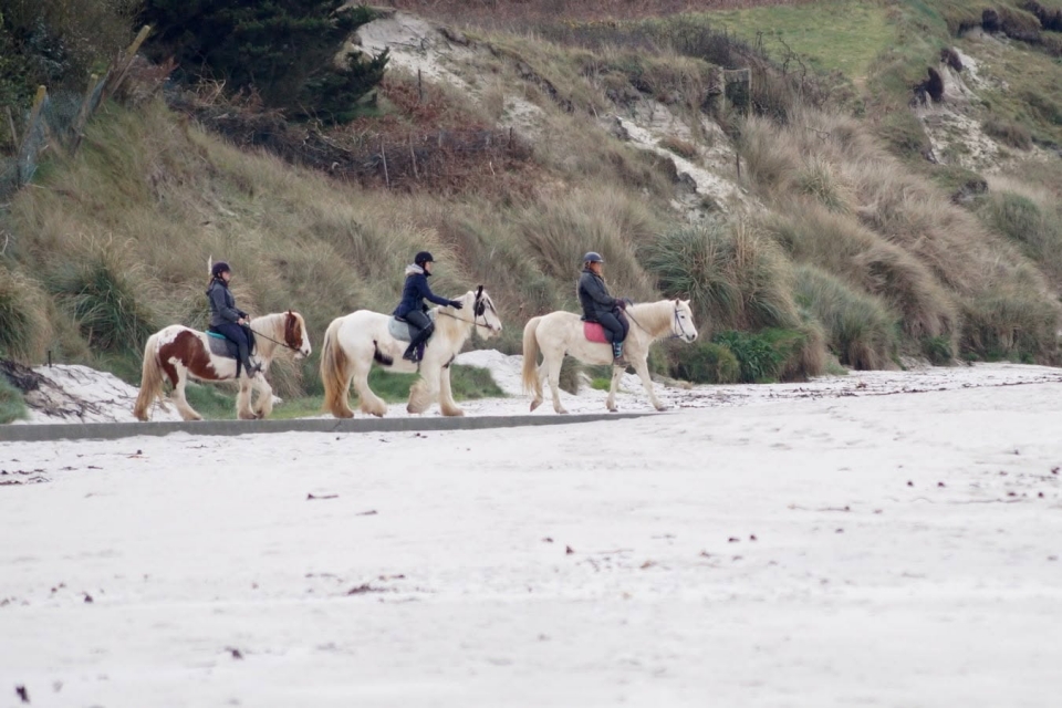 Erkunden Sie die Wege des Finistère zu Pferd 