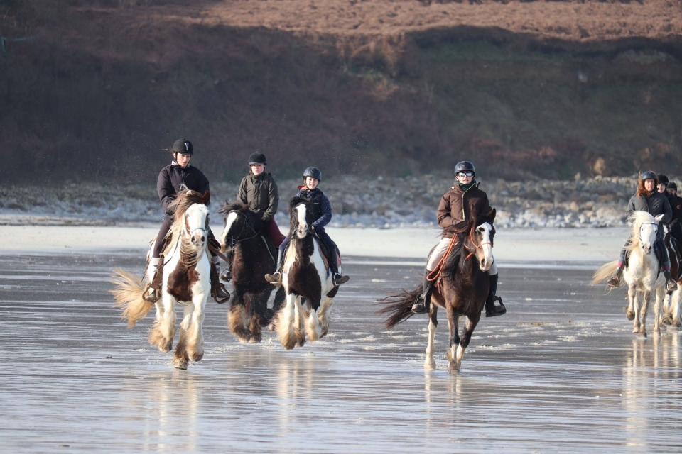  Reiten in Plouguerneau 