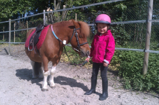 Pony ride 30 minutes in Chamoy, from 3 to 5 years old