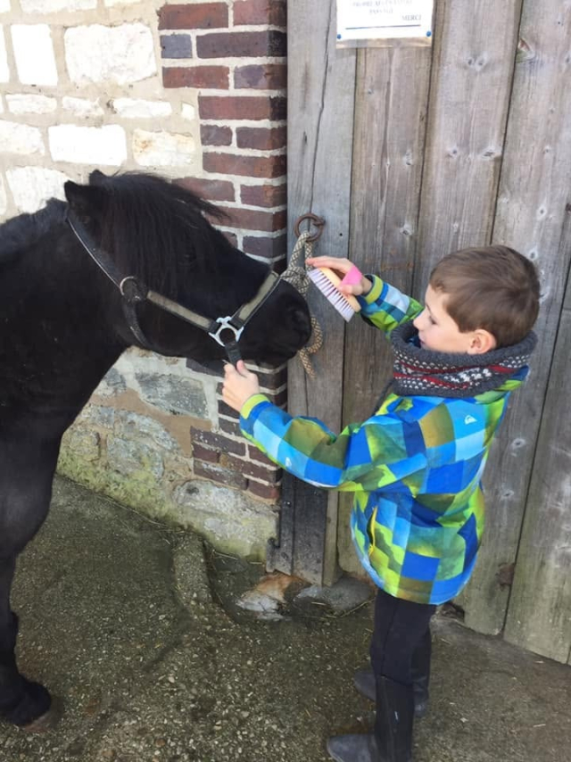  A child puts on the halter of his pony 