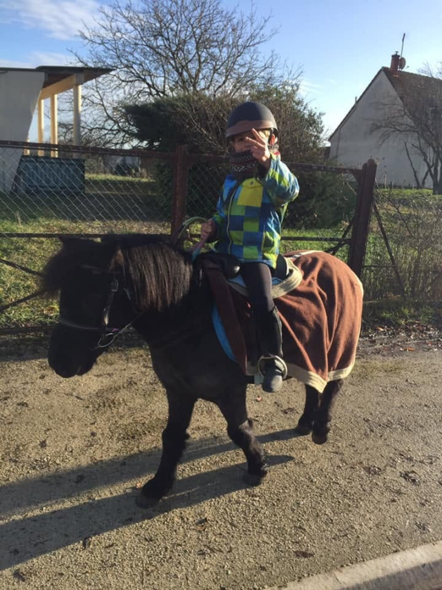  A child in the saddle on a Shetland pony 