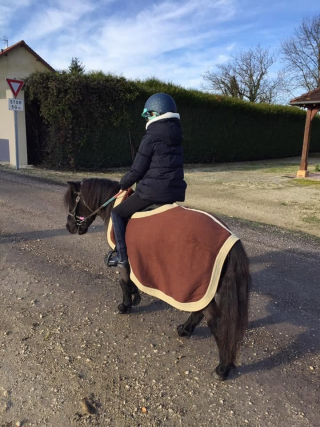 Pony or horseback ride 1 hour in Chamoy, ages 6 to 12