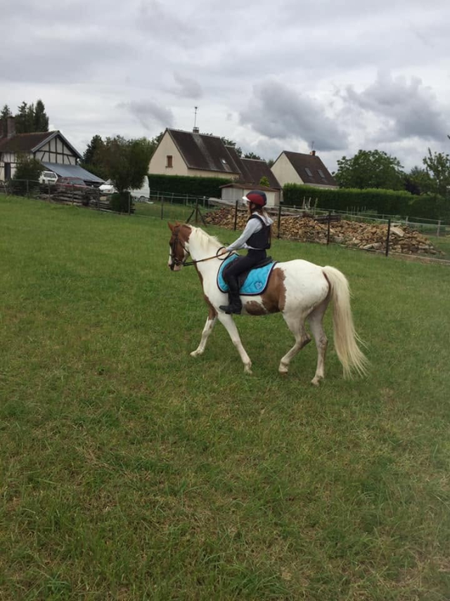  A rider on a piebald pony, in the meadow 