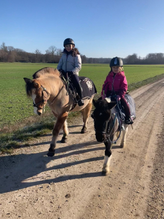 Pony or horseback ride 2 hours in Chamoy, ages 6 to 12