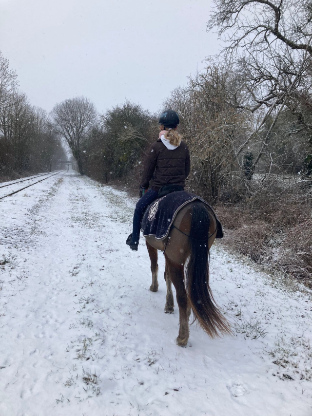  Pony on a snowy path, between the trees