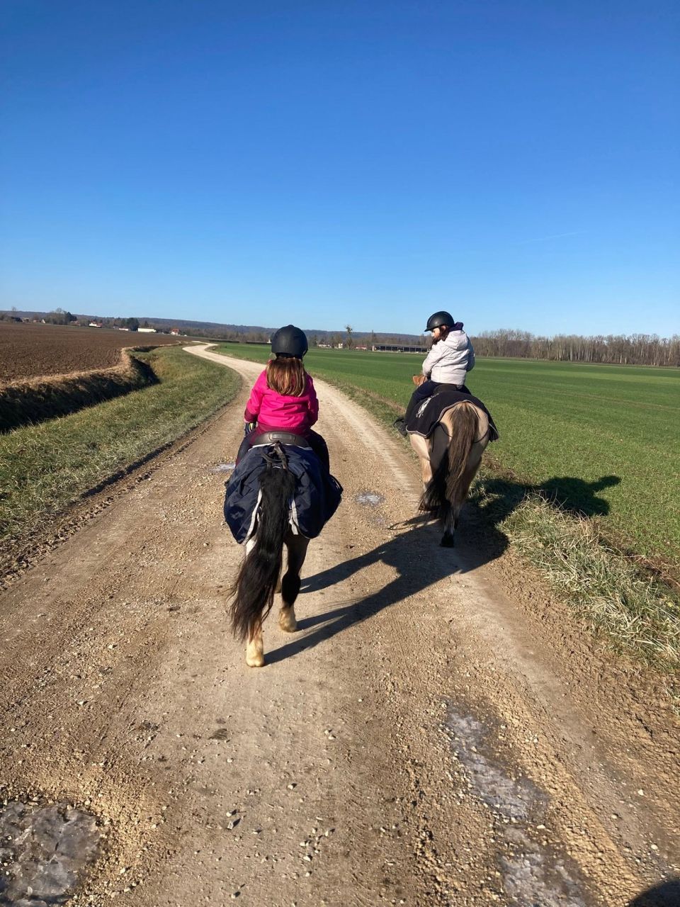  Pony ride on a dirt road 