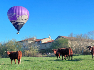 Vol en montgolfière d'1 h au Puy-en-Velay, moins de 12 ans