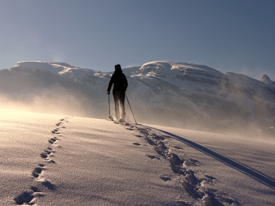 Raquetas de nieve en el Parc de la Vanoise -1/2 días