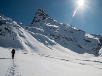  Sessione di racchette da neve con un istruttore certificato dallo stato 