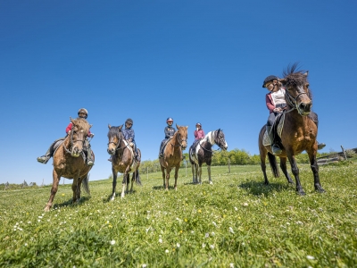 Balades en Poney Saintes Maries de la Mer