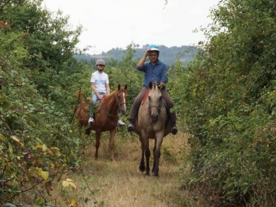 Paseo a caballo de una hora hasta Le Mans