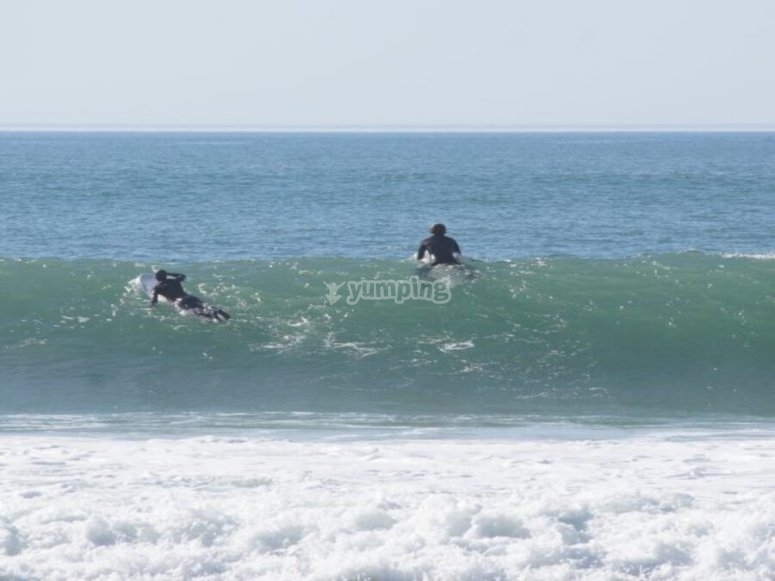 Surfing taking the wave 