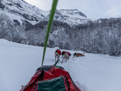 Battesimo Slitta trainata da cani Plaine du Vallon 45min