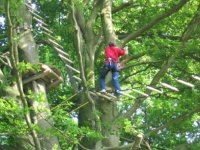 Discovering the treetops 