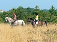  Horse riding around Labatut