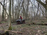 Quad dans les bois de Seine-et-Marne