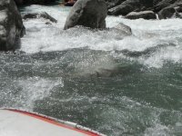  The bubbling water of the Gorges 