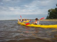 Sortie en kayak sur le lac