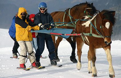 Ski Joëring dans France