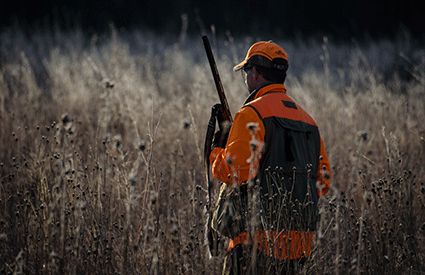 Chasse dans France